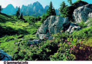 schaitl_2017_screen_postalm